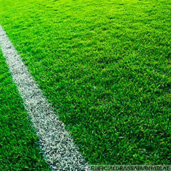 Sport Artificial Grass