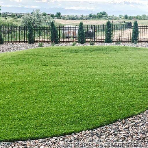 Synthetic Artificial Grass